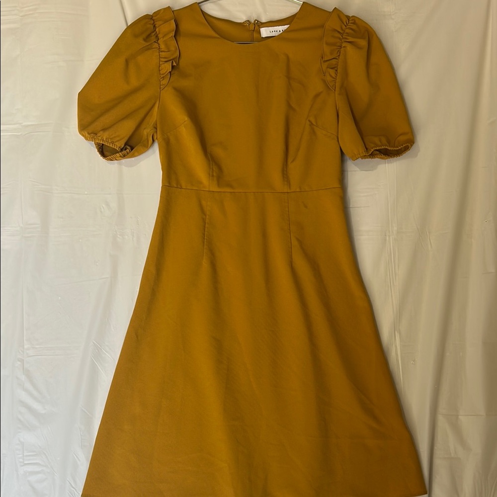 Lark & Ro Golden Dress